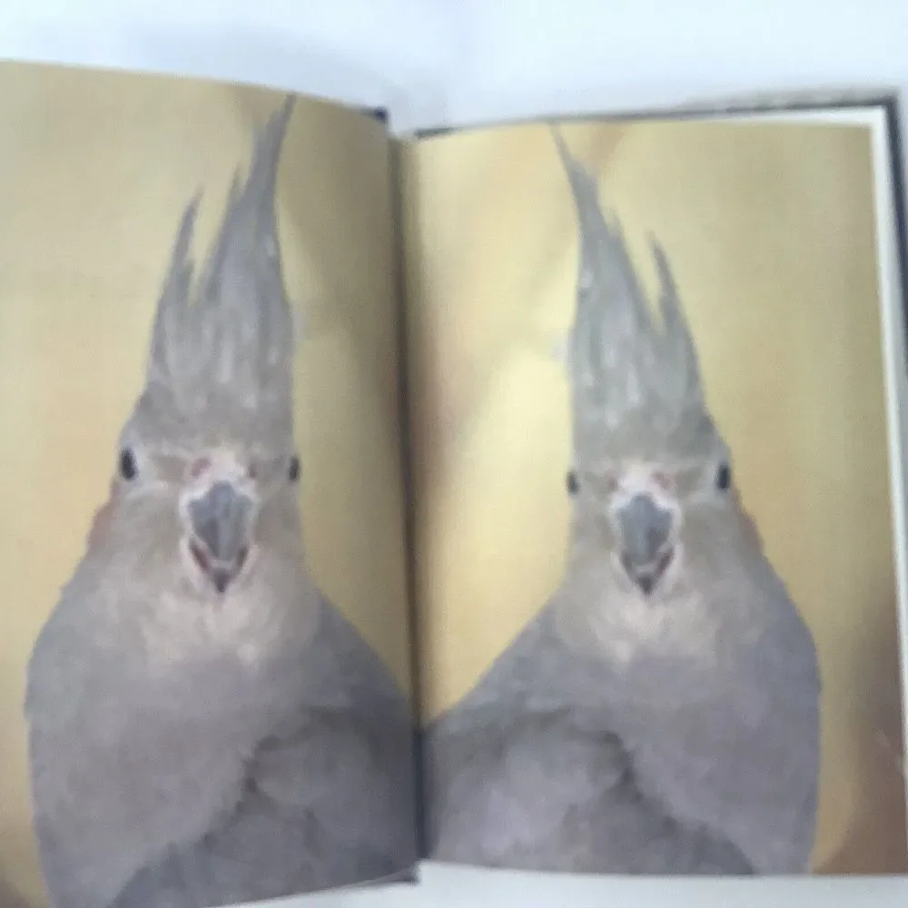Lot of 2 All about cockatiels and A Step by Step book about‎ Cockatiels A Barrie
